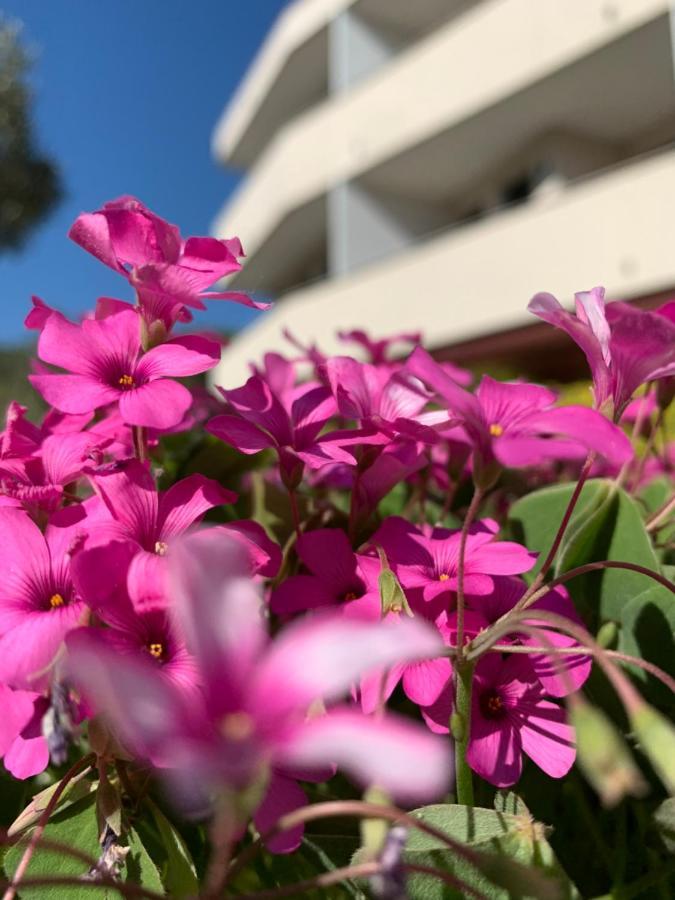 كافالّينو Eurobeach Residence المظهر الخارجي الصورة